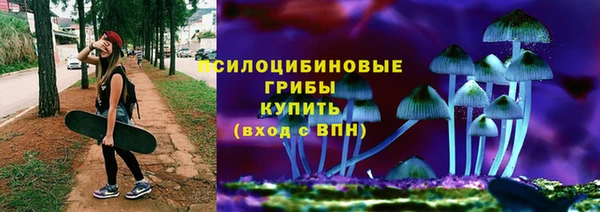 ПСИЛОЦИБИНОВЫЕ ГРИБЫ Армянск