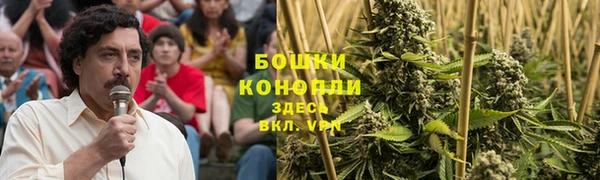 ПСИЛОЦИБИНОВЫЕ ГРИБЫ Армянск