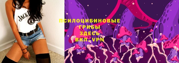 ПСИЛОЦИБИНОВЫЕ ГРИБЫ Армянск