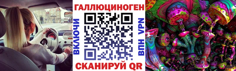 Псилоцибиновые грибы мицелий blacksprut tor Нефтекамск купить наркотик