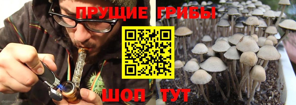 Галлюциногенные грибы мухоморы  Галлюциногенные грибы мицелий  Вход с VPN  Нефтекамск 